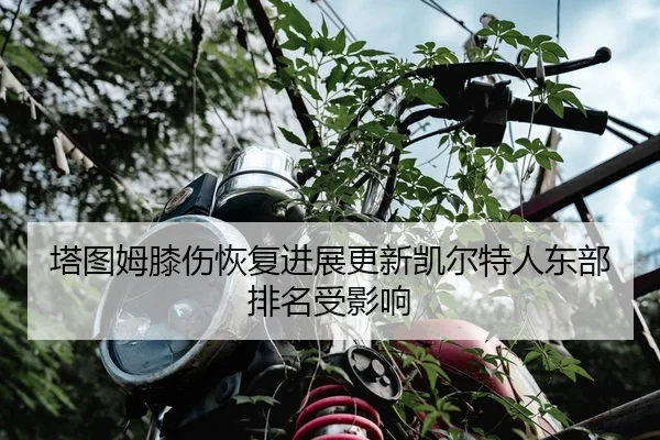 塔图姆膝伤恢复进展更新凯尔特人东部排名受影响